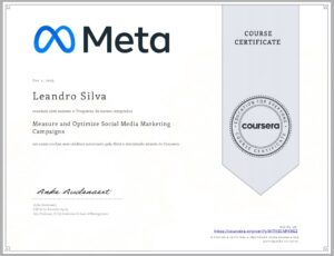 Avaliação e Otimização de Campanhas de Marketing em Mídias Sociais.